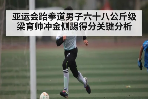 亚运会跆拳道男子六十八公斤级梁育帅冲金侧踢得分关键分析